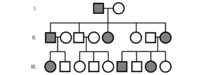 családfa genetika biológia emelt szintű érettségi ábra